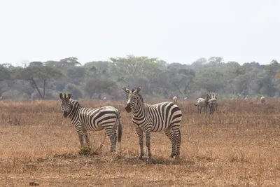 DSC_4048 (Large).JPG